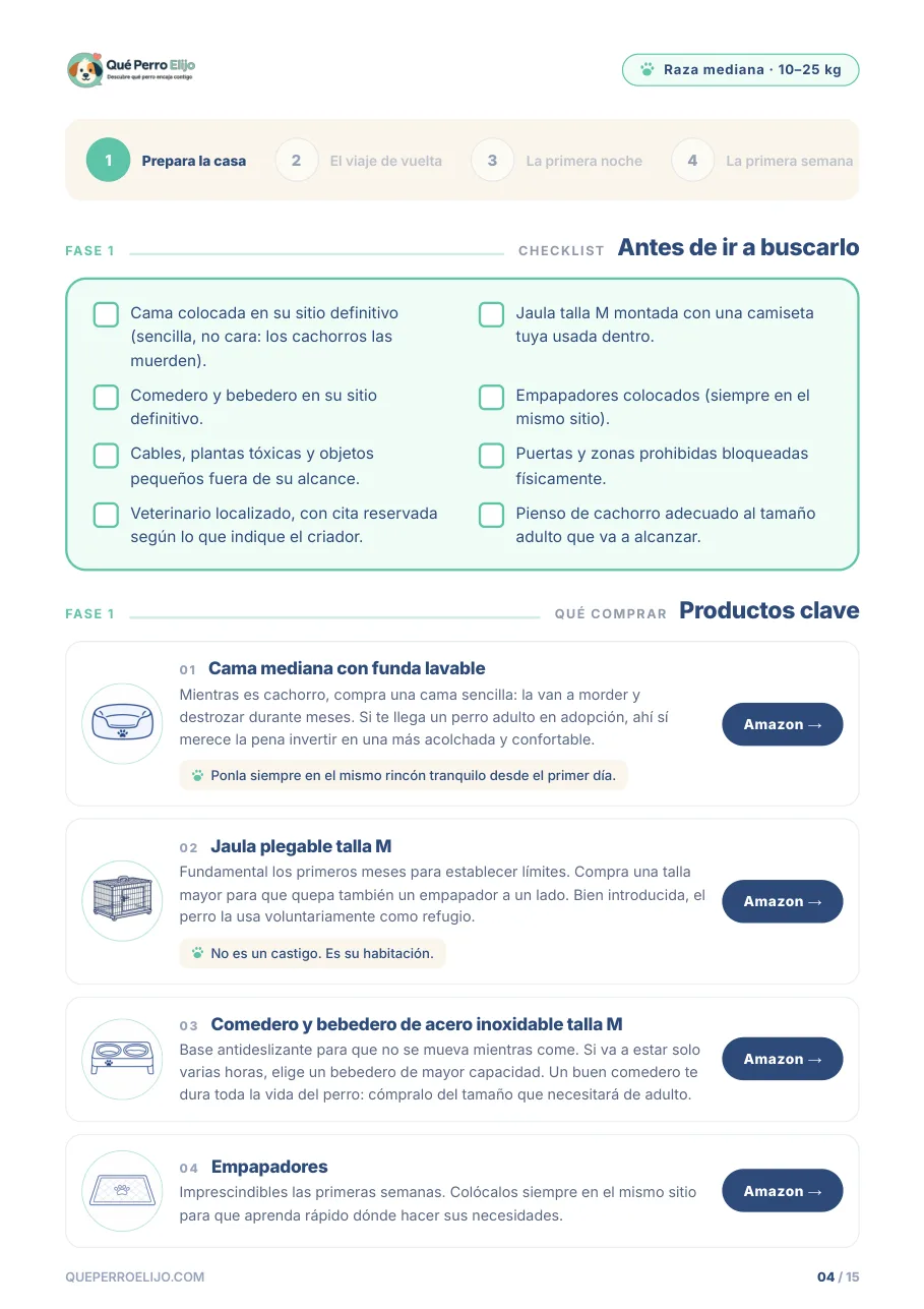 Página con checklist y productos clave