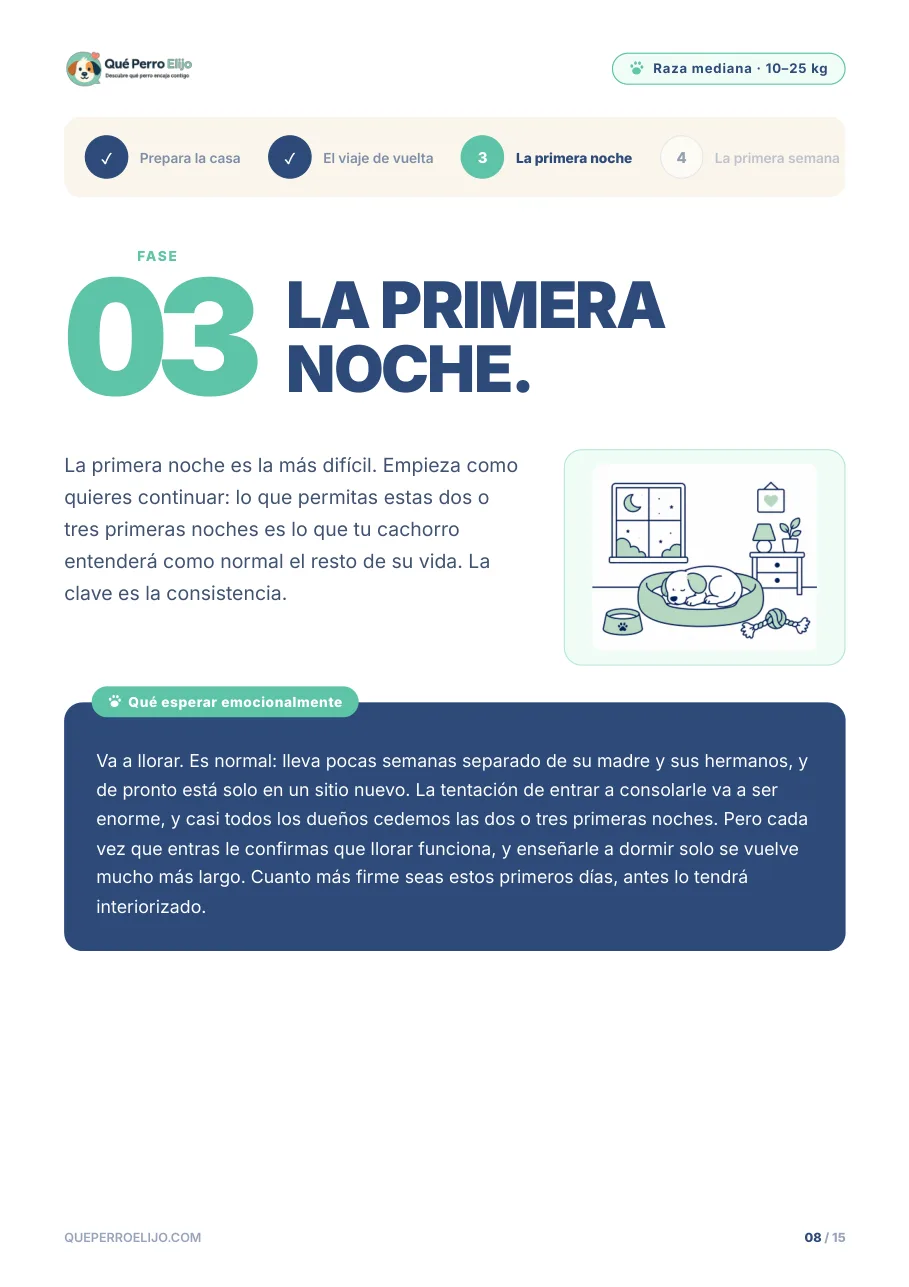 Página de la primera noche