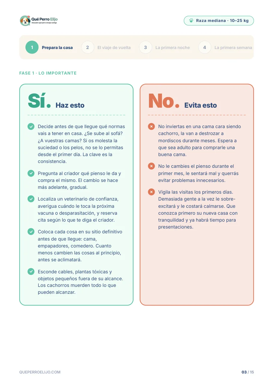 Página con lo que sí y lo que no hacer en la fase 1